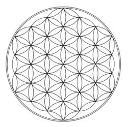 bioresonantiezaanstreek.nl